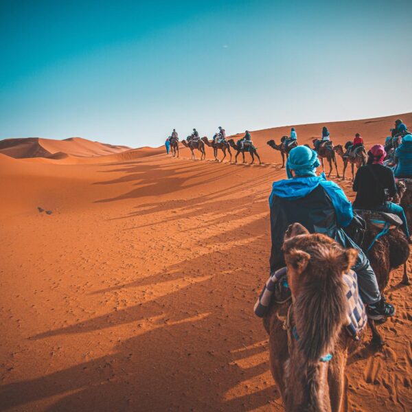 About Morocco Tripping | Morocco Tours, Desert Trips & Travel Experiences