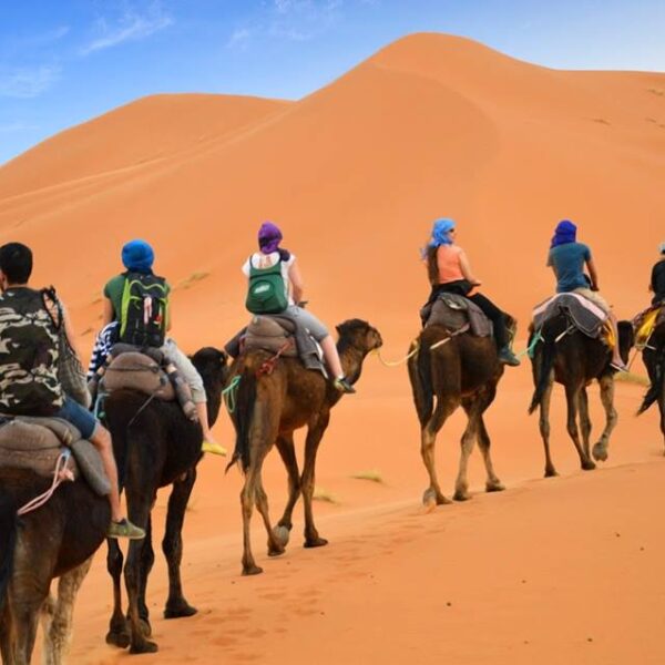 About Morocco Tripping | Morocco Tours