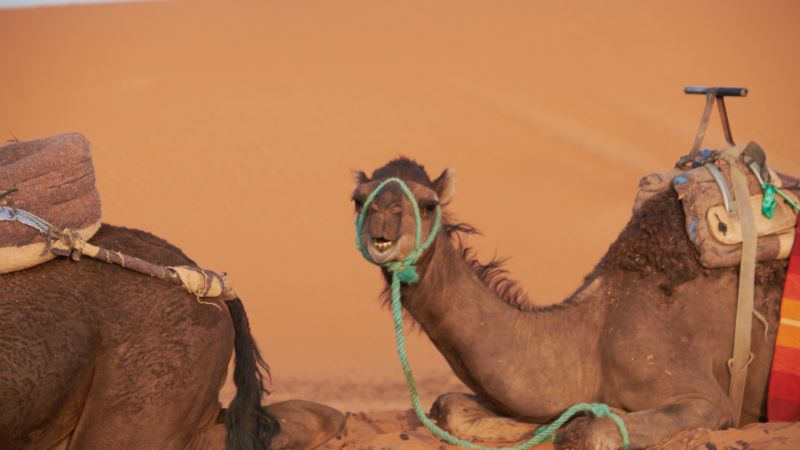 3 Days Fes Sahara Desert Tour 3 Days Fes Sahara Desert Tour